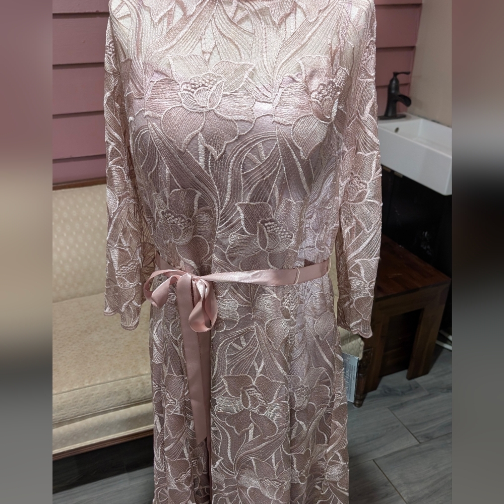 Alex Evenings Blush Lace Long Sleeve Tea Dress - Picture 4 of 4